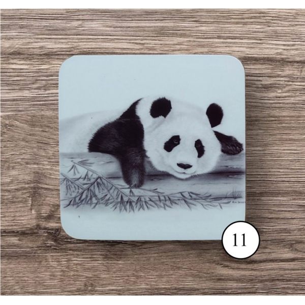 Coaster 11