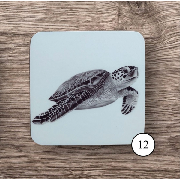Coaster 12