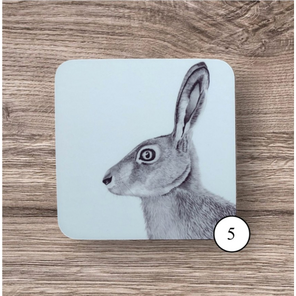 Coaster 5