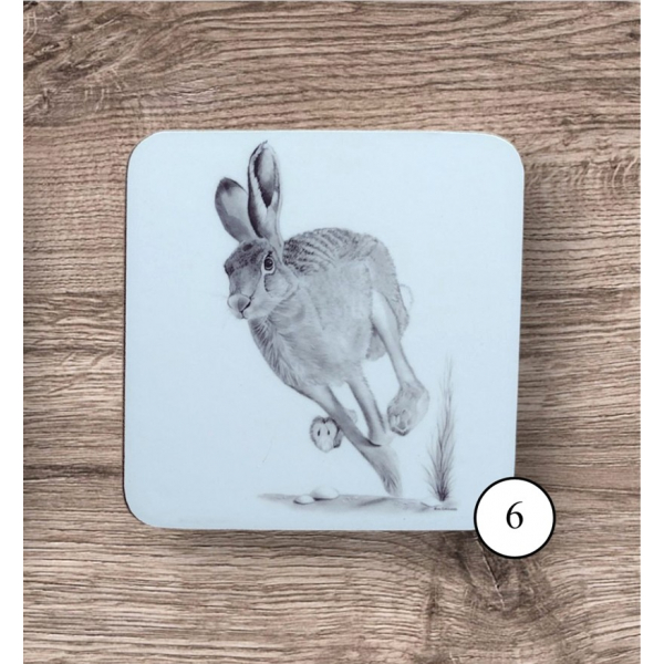Coaster 6