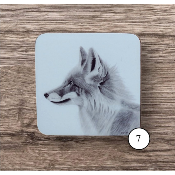 Coaster 7