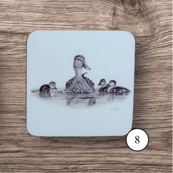 Coaster 8