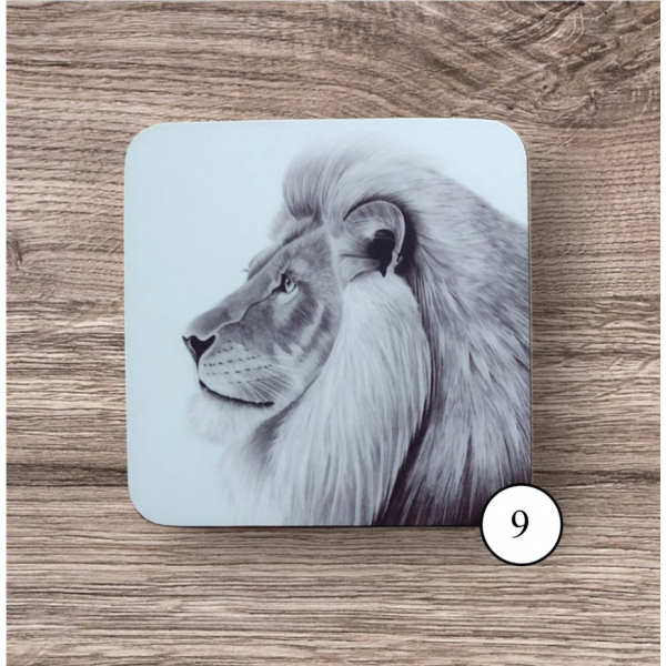Coaster 9