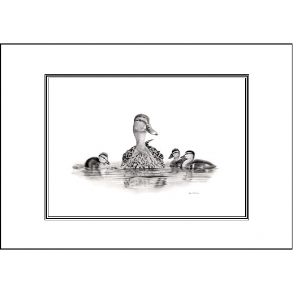 Ducks card