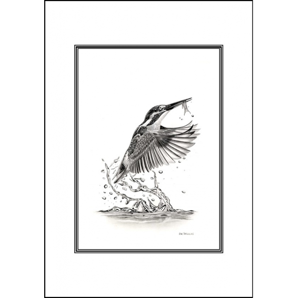 British wildlife cards