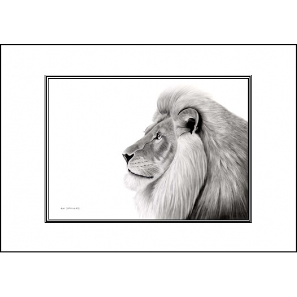 World wildlife cards