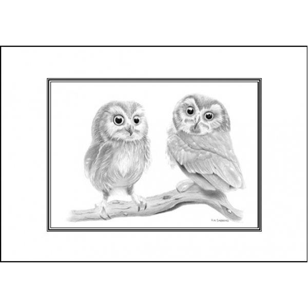 Two owls card