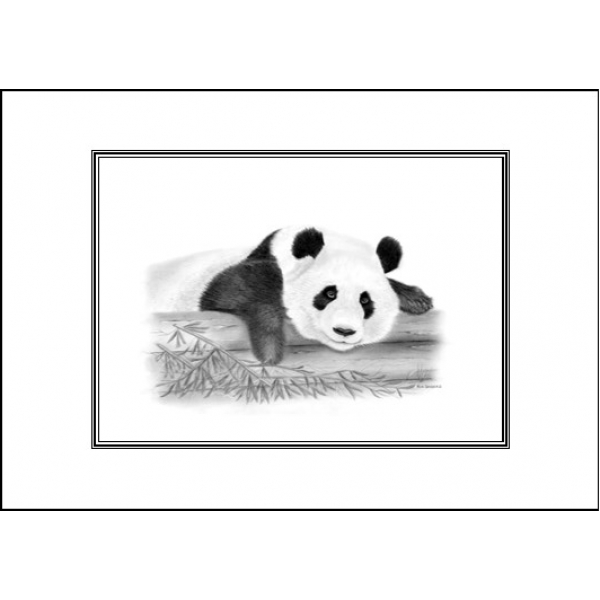 World wildlife cards