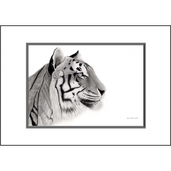 World wildlife cards