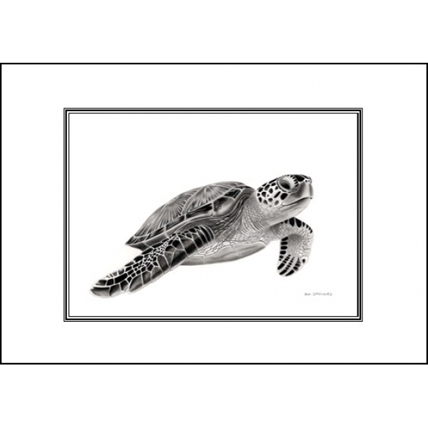 World wildlife cards