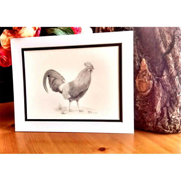 "Kevin" the cockerel print.