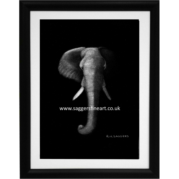 Night of the Elephant