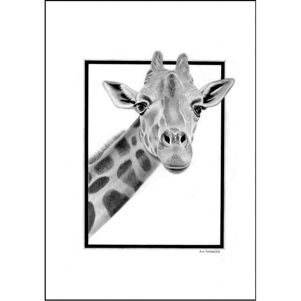 World wildlife cards