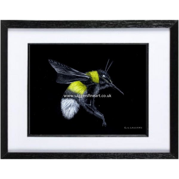 I'm Buzzing - Fine art print
