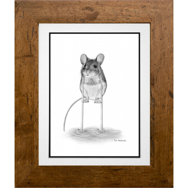 Dori the Dormouse - Ipswich Artist