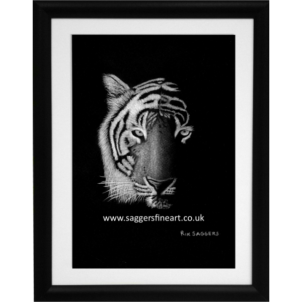 Night of the Tiger