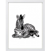 Baby Zebra Print