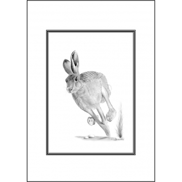Hare greeting card