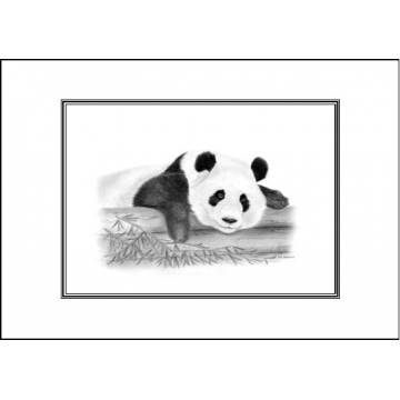 Panda card Panda card
