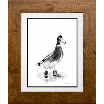 Percy the Duck - Ipswich Artist
