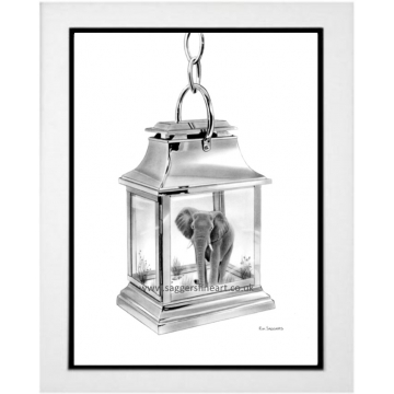 A Shining Light in our World 1