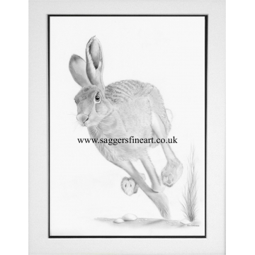 The Running Hare The Running Hare