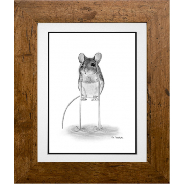 Dori the Dormouse - Ipswich Artist