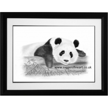 Resting Panda Print