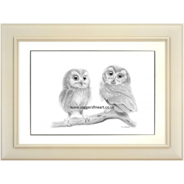 Twit and Twoo Twit and Twoo