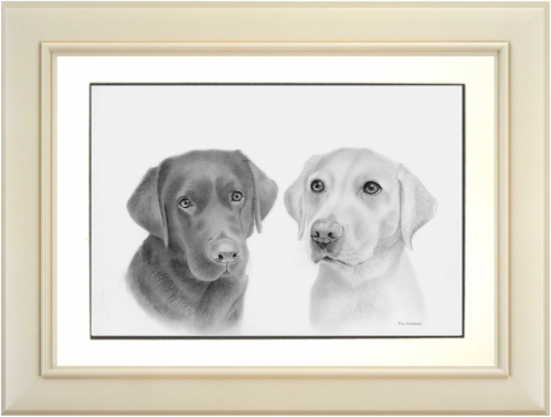 Pet Portrait Commission