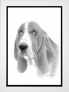 Bertie Commission
