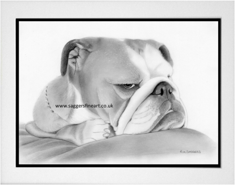 Bulldog Commission