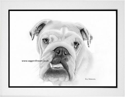 bulldog Commission