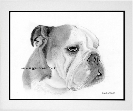 bulldog Commission