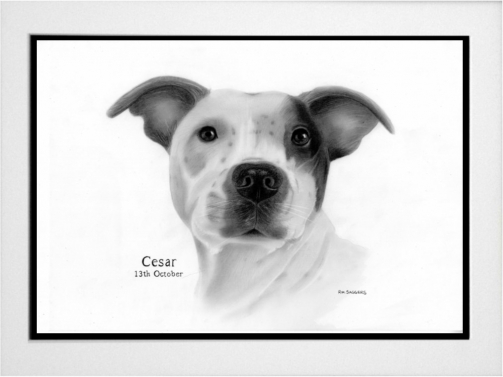 Cesar Commission