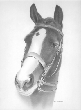 Dotty Commission