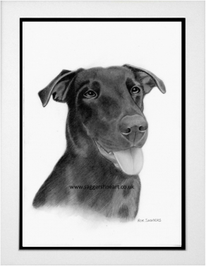 Pet Portrait commission