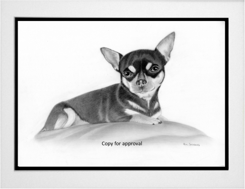 Pet Portrait commission