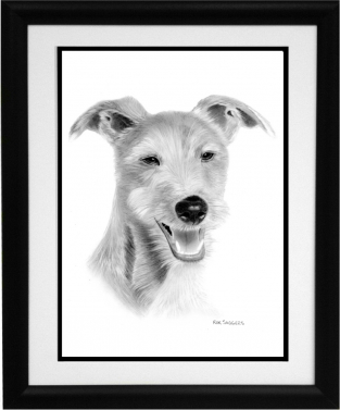 Woody Commission