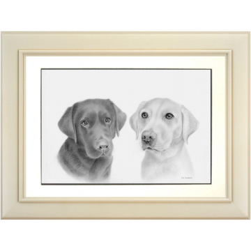 Pet Portrait Commission