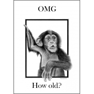 Funny Chimp Birthday card - Code 013