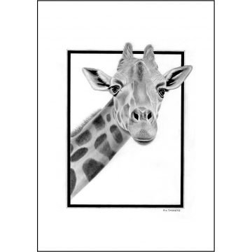 Classic giraffe general greeting card - Code 025