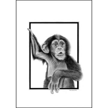 Classic chimp general greeting card - Code 026