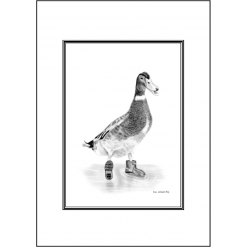 Funny duck general greeting card - Code 030
