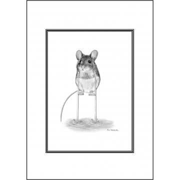 Funny cute mouse general greeting card - Code 032