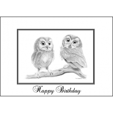 Elegant baby owls birthday card - Code 050