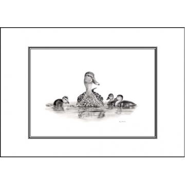 Ducks card - Code A31 Ducks card - Code A31