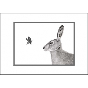 Hare and butterfly card - Code A46