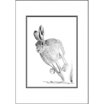 Running hare card - Code A47