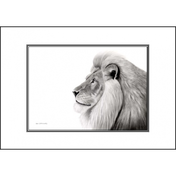 Lion card - Code A35 Lion card - Code A35